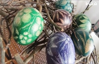 ایده های زیبا برای رنگ کردن تخم مرغ سفره هفت سین