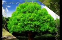 دانلود کلیپ زیبا برای روز درختکاری