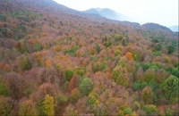 طبیعت مازندران در فصل پاییز