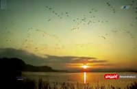 موزیک ویدئوی زیبای «غروب خورشید» اثری از کیتارو