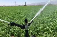 Irrigation sprinkler