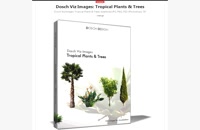 Download Dosch Viz Images Tropical Plants &amp; Trees