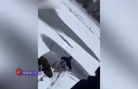 ویدیو نجات یک سگ از دریاچه یخ زده