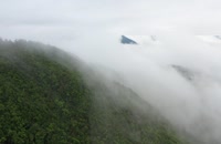 ویدیو فوتیج کوهستان مه آلود