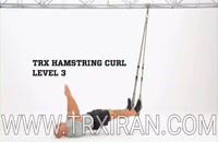 TRX HAMSTRING CURL LEVEL3_همسترینک سطح3