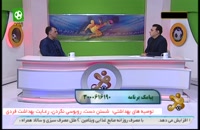 اشکالات اساسنامه فدراسیون فوتبال از زبان آذری