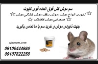 قویترین سم موش کش خارجی /کشنده سریع موش