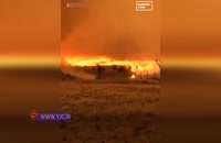آتش سوزی گسترده‌ای که جنگل‌های آمریکای جنوبی را درنوردید