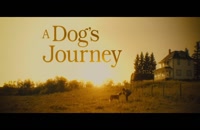 تریلر فیلم سفر یک سگ A Dog’s Journey 2019