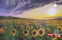 نماهنگ محمد علیزاده بنام «زندگی» را تماشا کنید