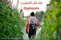 علف کشی برای انواع محصولات باغی و زراعی، گلایفوزیت | Glyphosate
