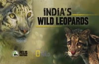 تریلر مستند پلنگ های وحشی هند India’s Wild Leopards 2020 سانسور شده