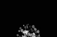 ویدیو فوتیج پاشش ذرات بوکه از پایین