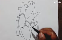 آموزش نقاشی قلب انسان با تکنیک ساده