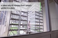 5 مزرعه عمودی که توسط AI و Robots اجرا می شوند | آینده کشاورزی