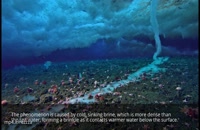 کلیپی از 10 پدیده عجیب در اقیانوس ها
