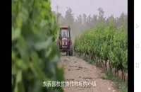 داستان فقرزدایی روستای «مین نینگ» در غرب چین