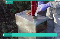 استفاده از اسید اگزالیک در کنترل کنه ی واروآ در زنبورداری