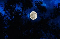 ماه و ستاره در آسمان آبی شب