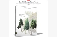 Download Dosch Viz Images Forest Trees