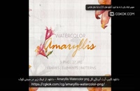 دانلود کلیپ آرت آبرنگی گل Amaryllis Watercolor png
