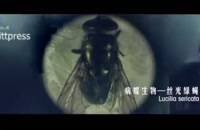 ویدیویی که بر اساس آن پیشبینی می کنند چین ویروس کرونا را ساخته است