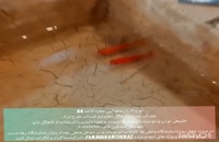 کاهگل - برسی نانو کاهگل در برابر آب (ماهی قرمز در کارتن کاهگل شده)