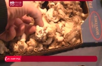 آموزش پرورش قارچ - نحوه پرورش آسان و ارزان قارچ های صدفی با استفاده از قهوه پارت اول