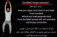 Over head Dumbbell triceps extension/پشت بازو دمبل بالای سر