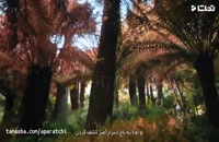 فیلم باغ اسرارآمیز The Secret Garden 2020 با زیرنویس فارسی