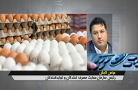 قیمت تخم مرغ همچنان در اوج