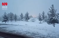 بارش برف در البرز