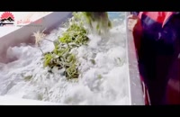 دستگاه شستشوی سبزی: راهی جدید برای شستن سبزیجات