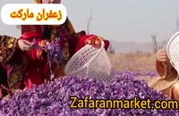 زعفران مارکت مرجع ترین سایت فروش زعفران در ایران