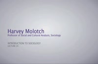 Introduction to Sociology - Political Economy