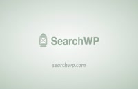افزونه جستجوگر پیشرفته وردپرس | SearchWp + 28addons