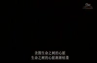 موزیک ویدیو 39MAMA39 اکسو EXO-M موزیک ویدیو دبیوت اکسو ورژن چینی (آهنگ)
