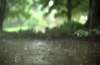 ویدیو فوتیج قطرات باران