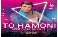 آهنگ محسن افضلی به نام تو همونی | Mohsen Afzali - To Hamoni