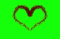 پرده سبز قلب در حال شکل گیری