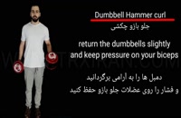 Dumbbell Hammer curl/جلو بازو دمبل چکشی