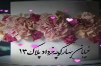 دانلود کلیپ تبریک تولد 13 خرداد