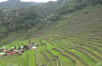 نماهای زیبا از تراس برنج فیلیپین