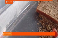 پرورش کرم های خوراکی ( میل ورم – Mealworm )