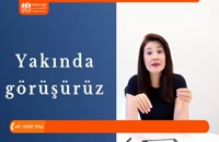 روش های شناخت افعال گذرا و ناگذر در زبان ترکی