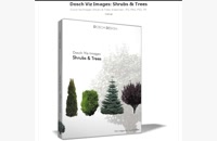 Download Dosch Viz Images Shrubs &amp; Trees