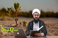 La Necedad en el islam, Sheij Qomi