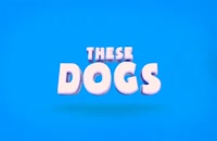 تریلر انیمیشن شهر سگ ها Dog Town 2019