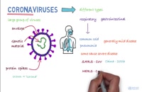 آنچه باید در مورد ویروس کرونا بدانید