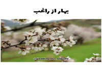 ویدیو آهنگ شاد برای عید نوروز با صدای راغب